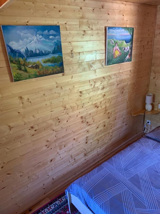 Urbès Chalet Rustique, 3Pieces, Jusqu'A 6 Personnes מראה חיצוני תמונה