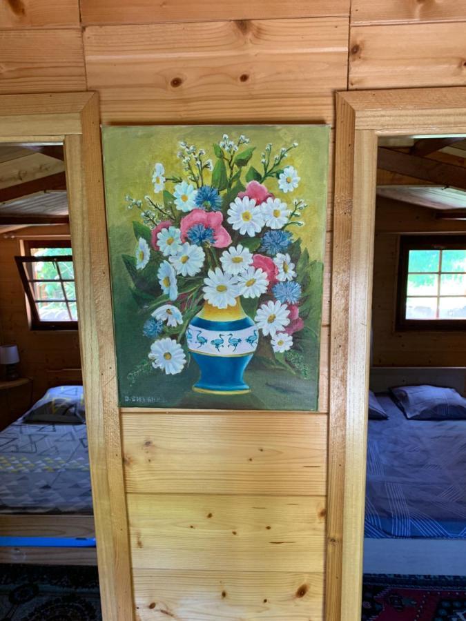 Urbès Chalet Rustique, 3Pieces, Jusqu'A 6 Personnes מראה חיצוני תמונה