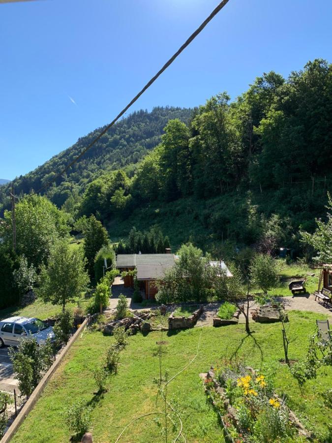 Urbès Chalet Rustique, 3Pieces, Jusqu'A 6 Personnes מראה חיצוני תמונה