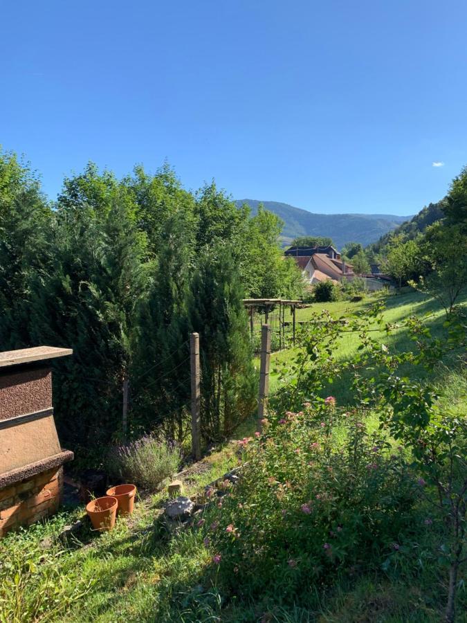 Urbès Chalet Rustique, 3Pieces, Jusqu'A 6 Personnes מראה חיצוני תמונה