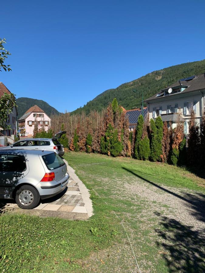 Urbès Chalet Rustique, 3Pieces, Jusqu'A 6 Personnes מראה חיצוני תמונה